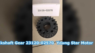 هیوندای گتز میل لنگ چرخ دنده 23120-02570 YOUNG STAR MOTOR